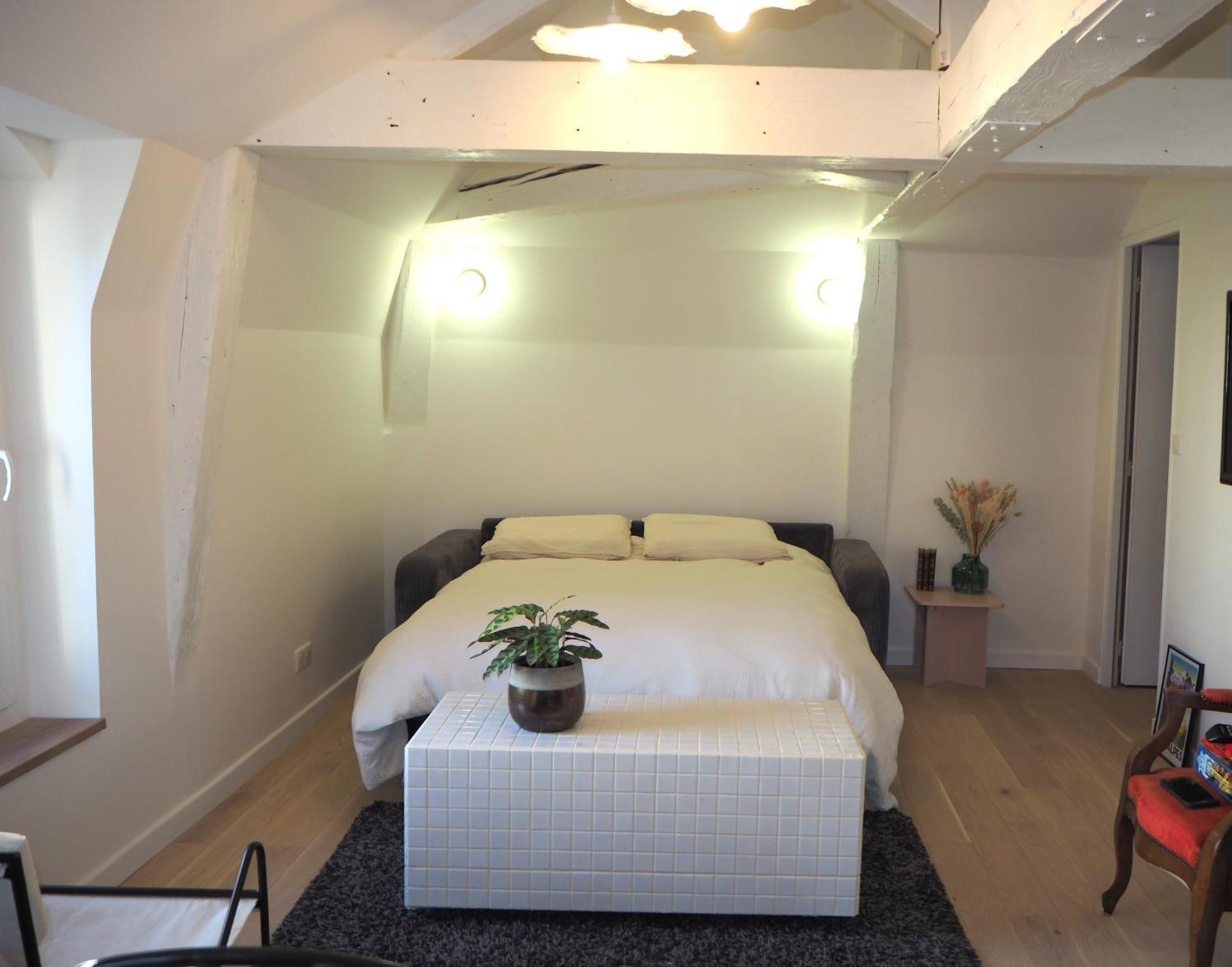 Les Baleines - Hypercentre 2 Chambres Avec Garage Et Clim - Air Conditioning เกรอน็อบล์ ภายนอก รูปภาพ